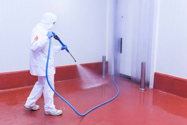 Best Soft Washing  in Palm Valley, FL